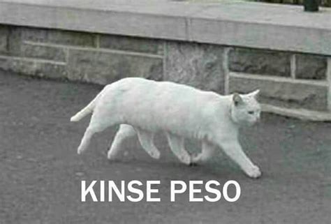 kinse pesos